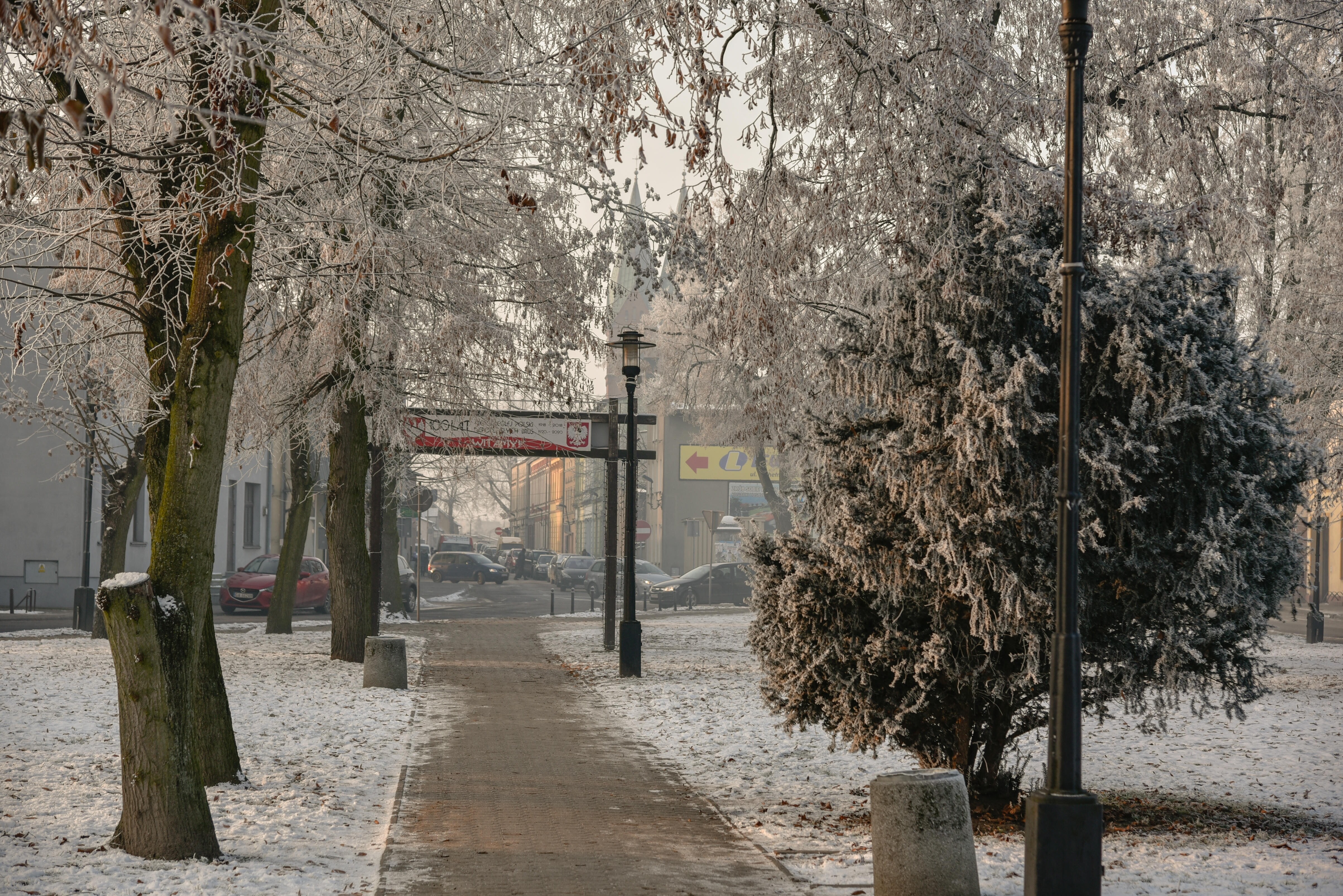 _dsc3369.jpg