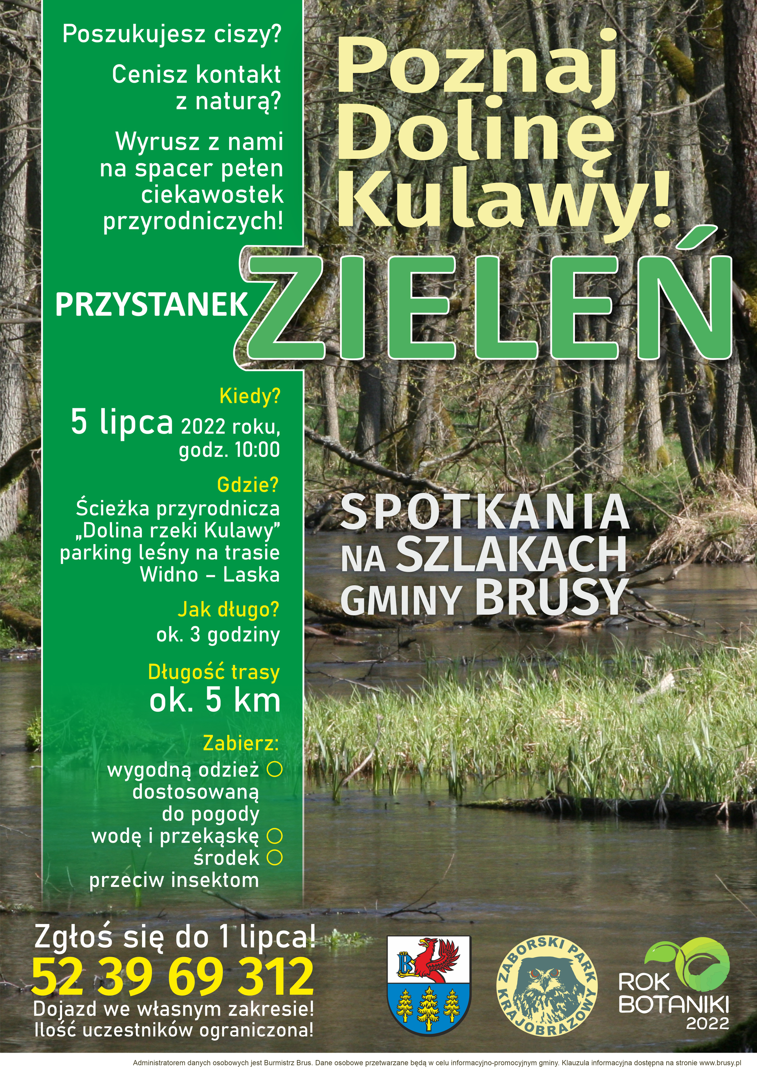 21_czerwca_2022_-_dolina_Kulawy_plakat_v2.jpg