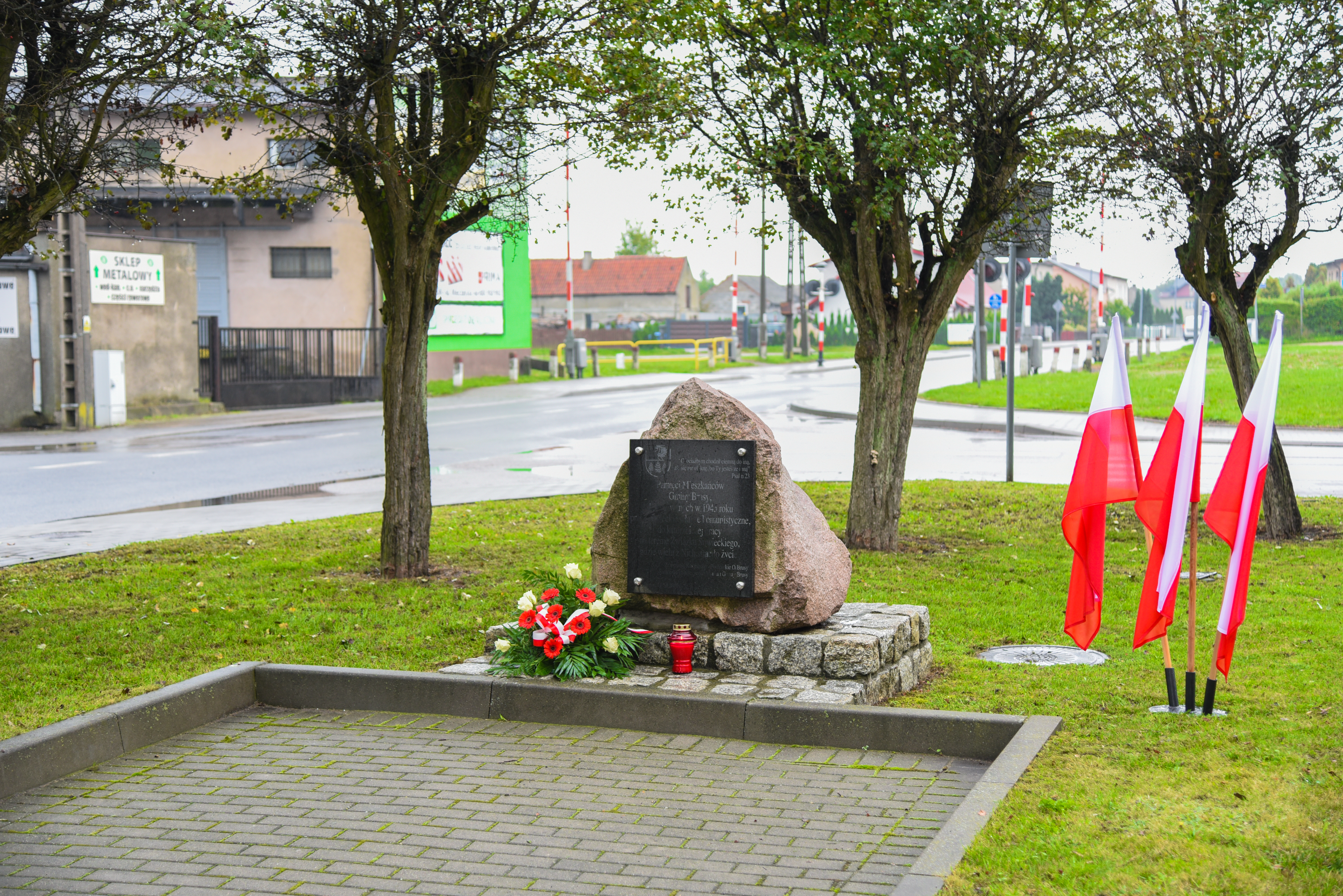 DSC_2469.jpg