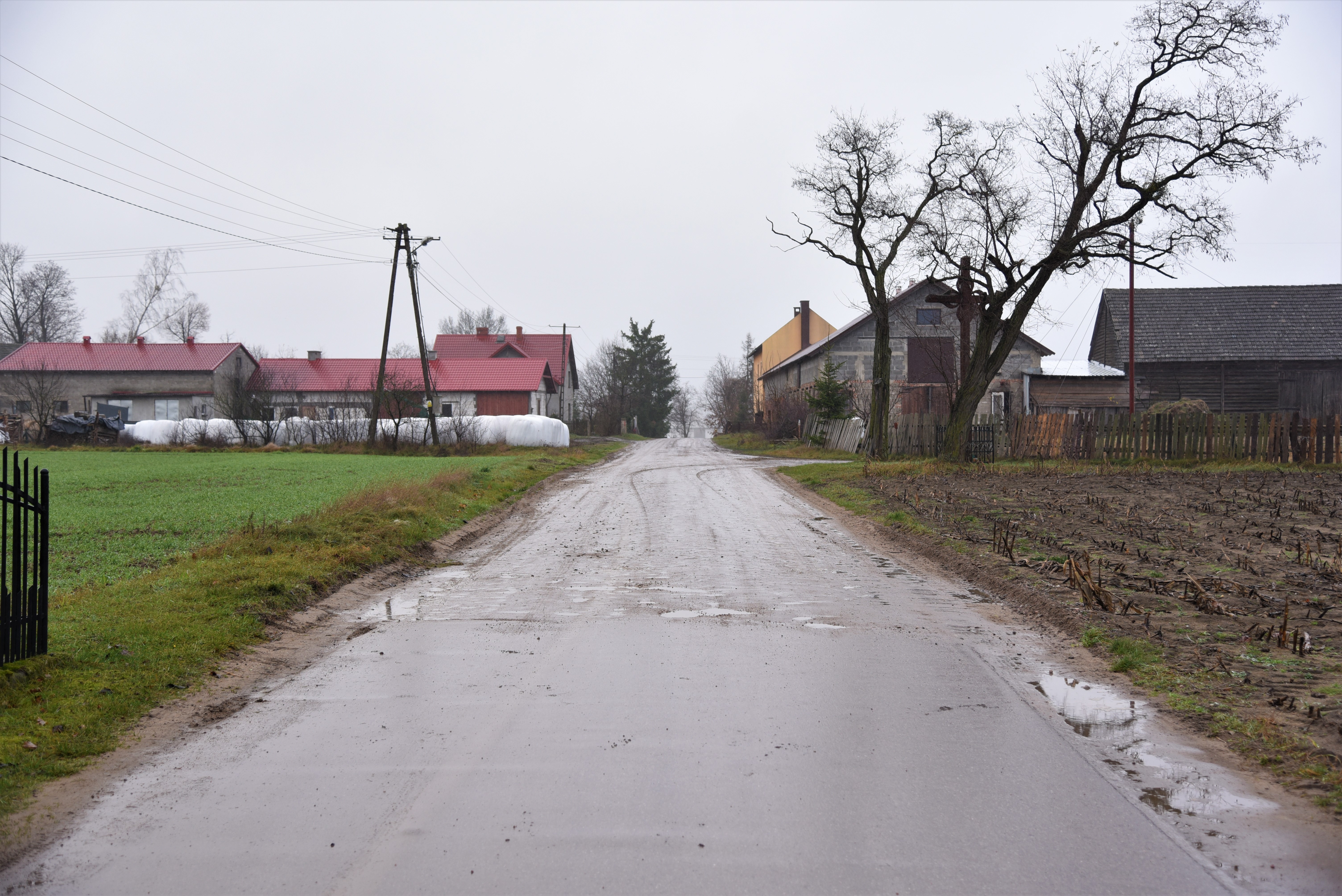 DSC_7208.JPG