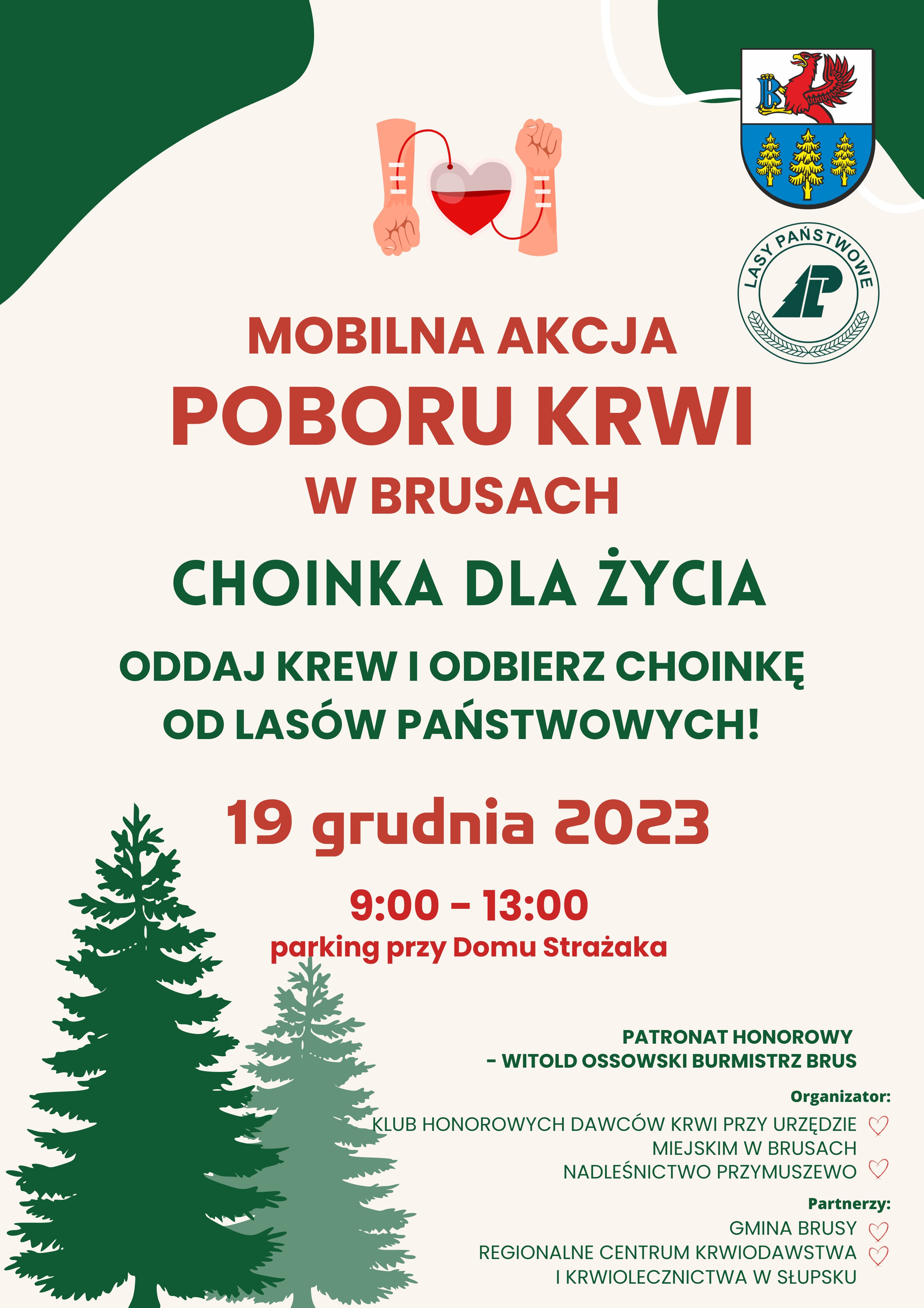 GRUDZIEN_choinki.jpg