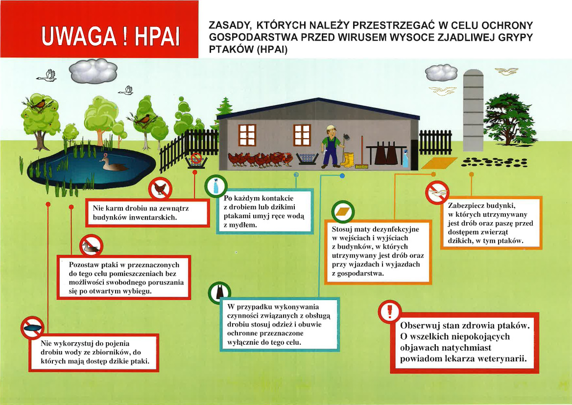 HPAI_apel_130923_3.jpg