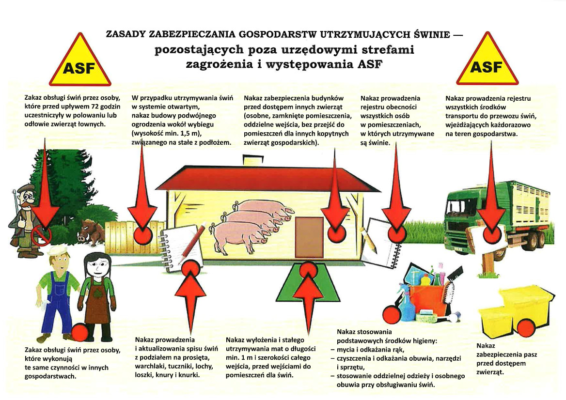 HPAI_apel_130923_4.jpg