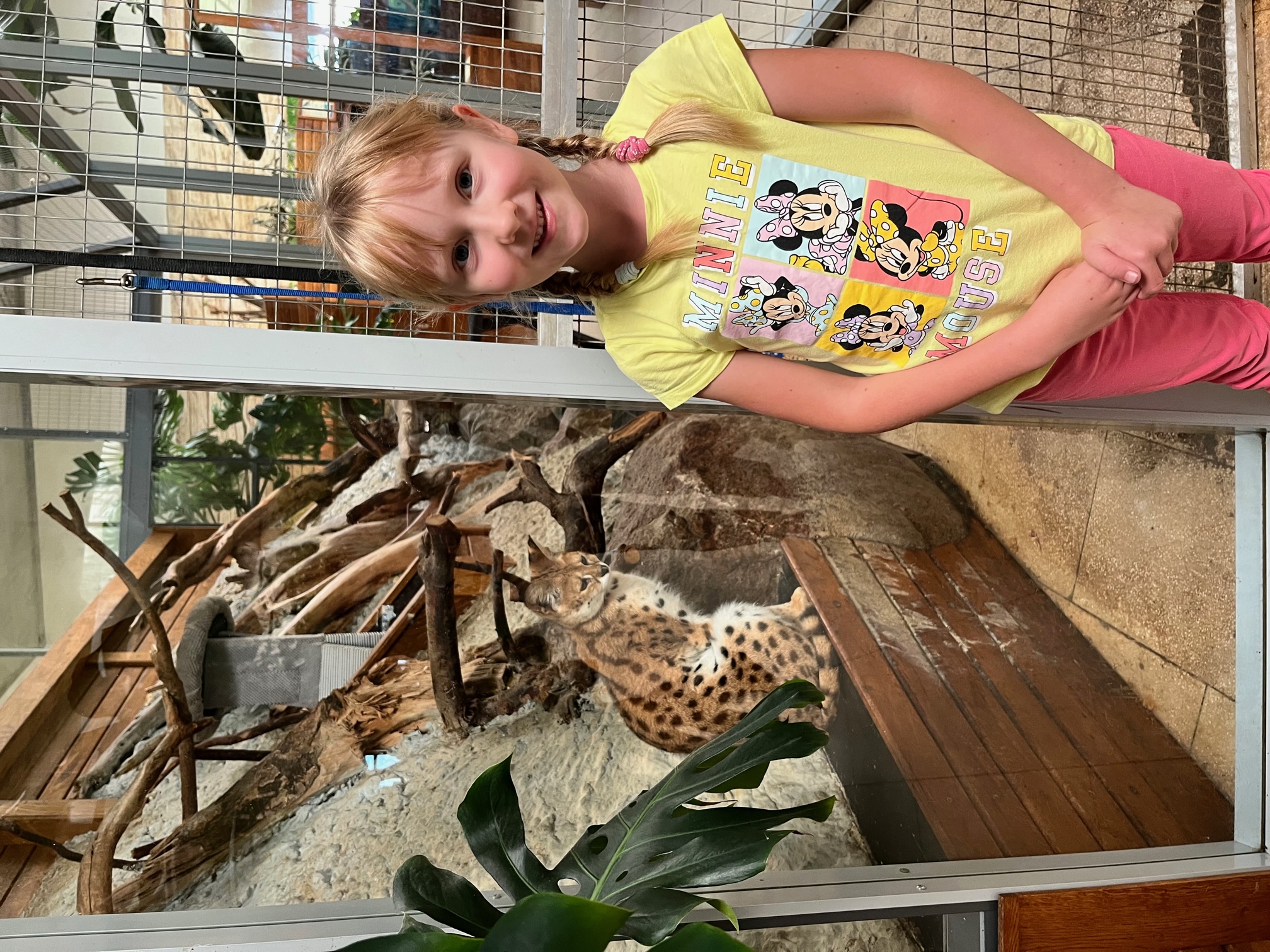 ZOO3