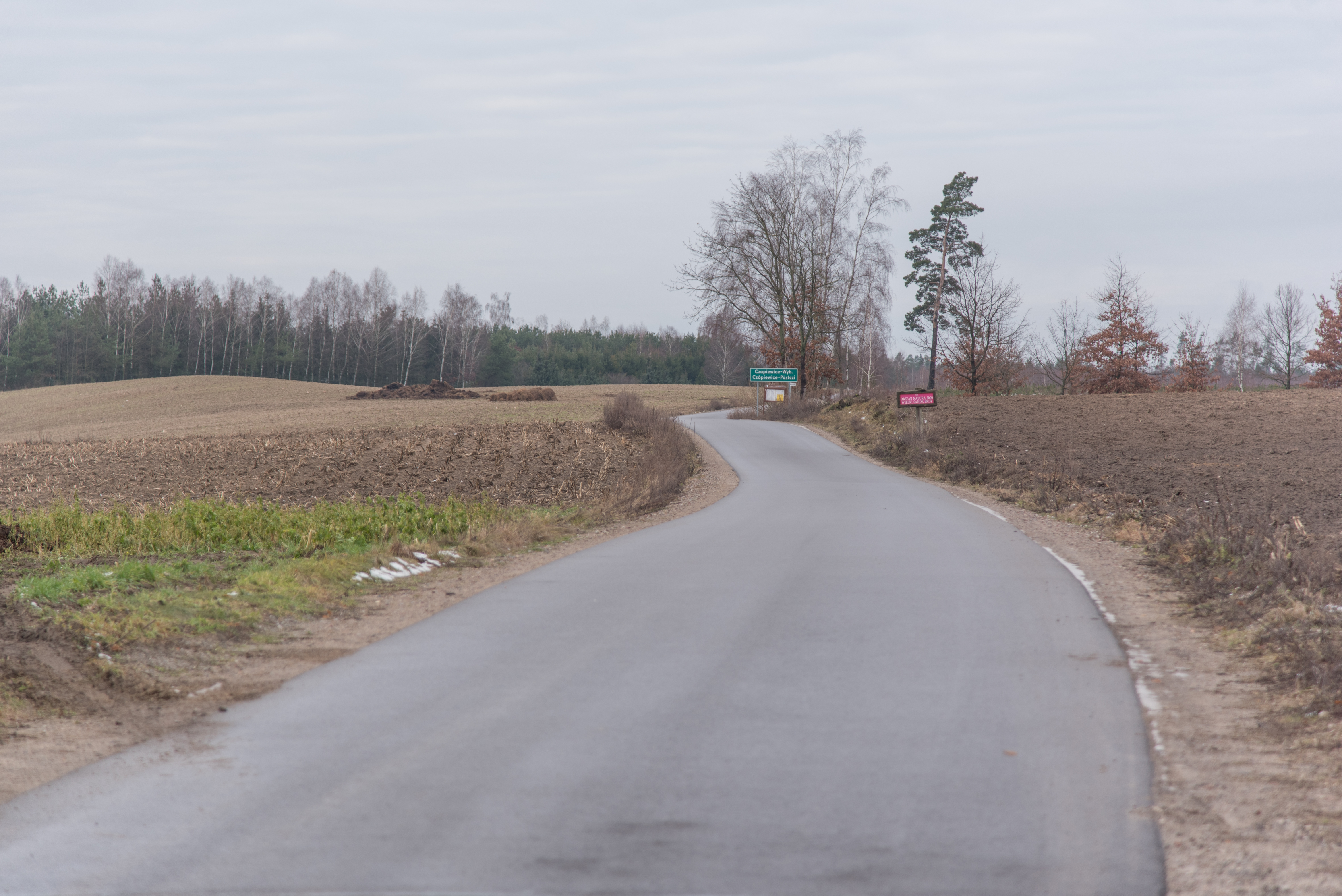 _DSC3988.jpg