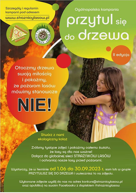 drzewo3