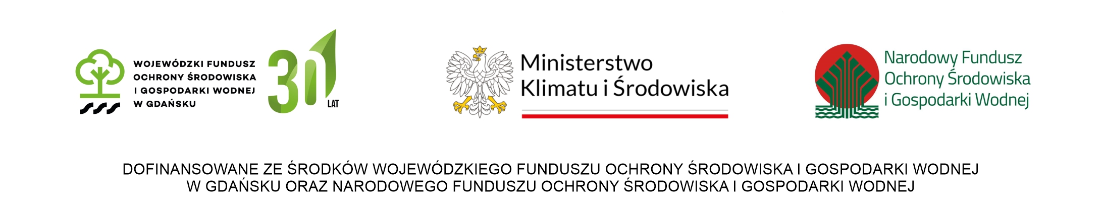 logo_wer.jpg