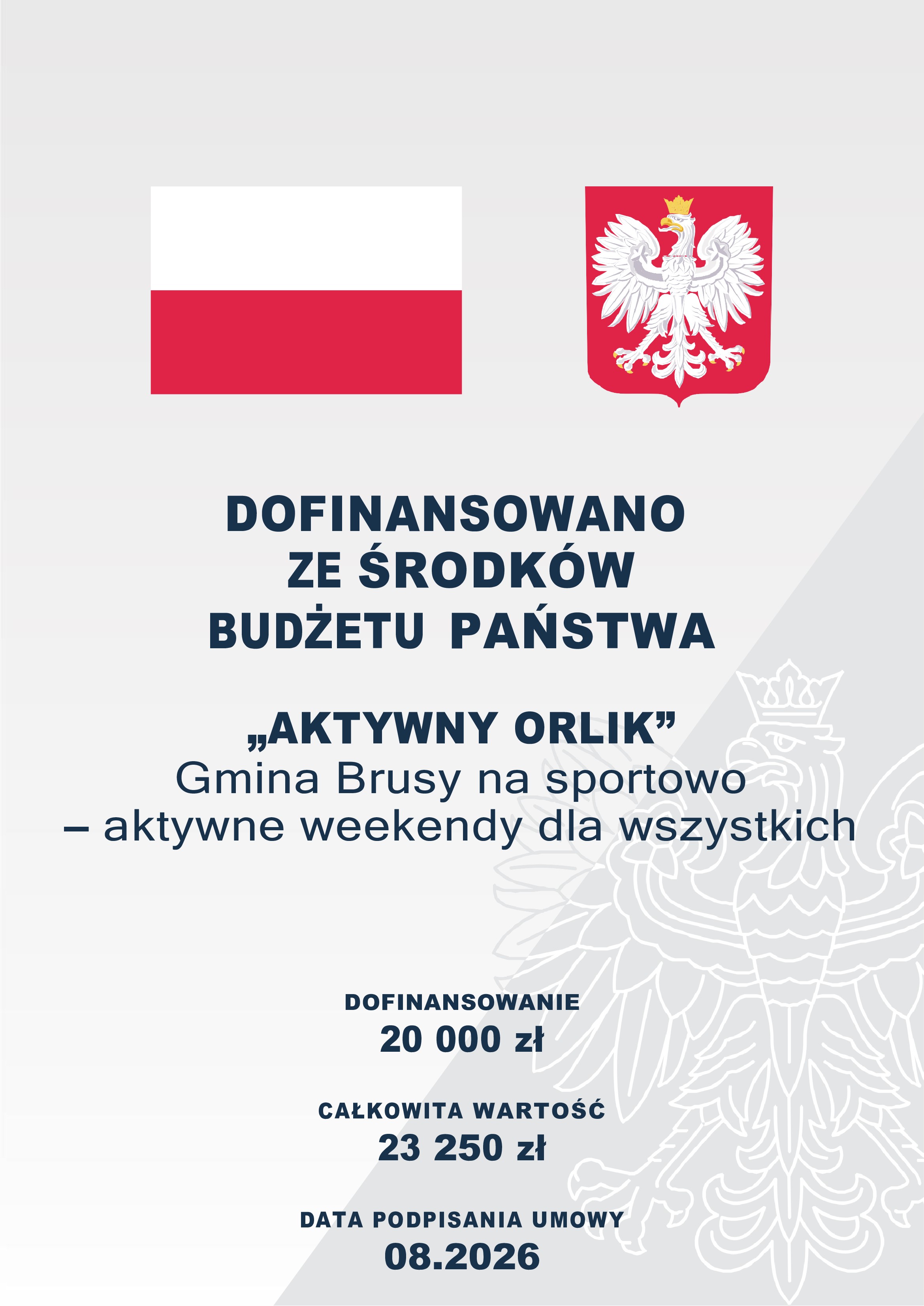 plakat-aktywny-orlik-30273280-_1_.jpg