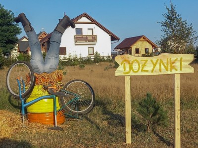 Sołectwo Czarniż