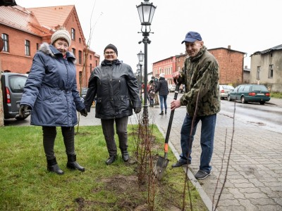 SADZENIE ZIELENI WRAZ Z MIESZKAŃCAMI ZREWITALIZOWANEGO TERENU