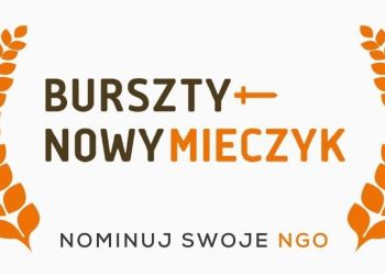 KONKURS DLA ORGANIZACJI POZARZĄDOWYCH O NAGRODĘ BURSZTYNOWEGO MIECZYKA