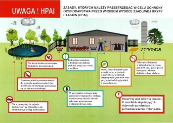 Minister Rolnictwa, Główny i Pomorski Wojewódzki Lekarz Weterynarii apelują
